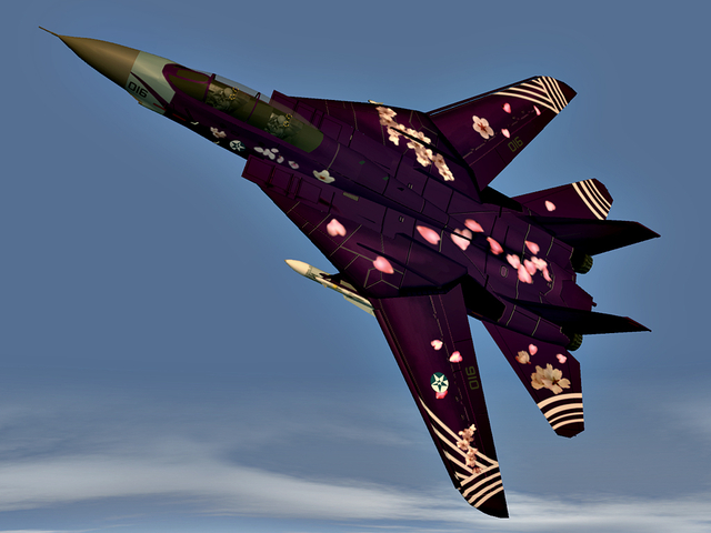 F-14D -ZIPANG-