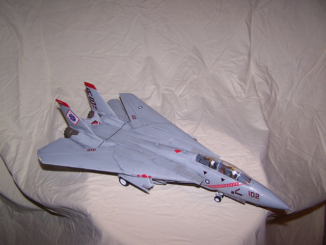 Tomcat_25.jpg