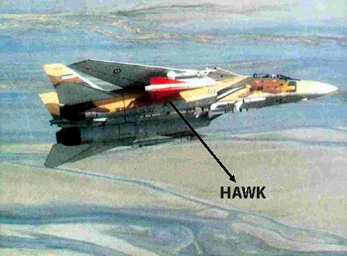 IRIAF F-14 with Hawk