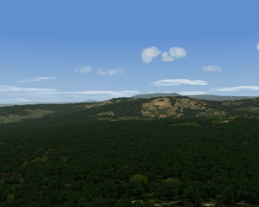 Madagascar jungle, sparse rocks coverage in the background