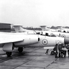 Royal Navy S.2A Buccaneers in anti-flash white