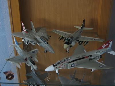 Century Wings F-14 and A-6