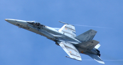 hornet.jpg