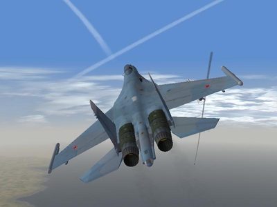 Eagle killer 2.JPG