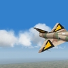 Hornet squadron