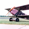 fokker-dvii_2.jpg