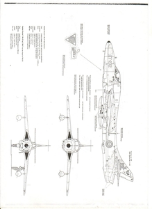 Hunter 7.jpg