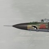 pingu-mig23m.jpg