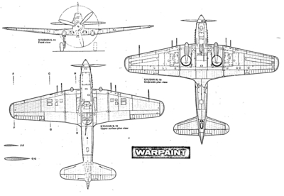 IL10-1.jpg