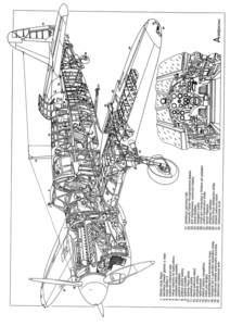 Firefly_3view_drawing_2103.jpg