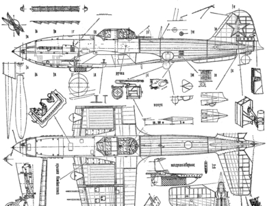 IL10M-1.jpg