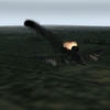 A-10 on Fire