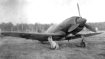 mig9-1-1.jpg