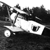 nieuport-11-bebe_5.jpg