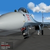 Su-33 gear 3