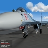Su-33 gear 2