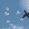 fs9 2010-09-27 18-12-46-18.jpg