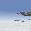 Kfir CAS.jpg