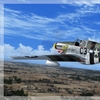 P-51B Mustang 09.jpg