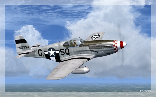 P 51B Mustang 17