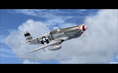 P 51B Mustang 16