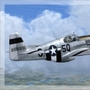 P 51B Mustang 18