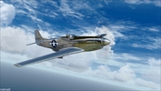 P 51D Mustang 43