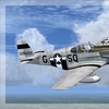 P 51B Mustang 17