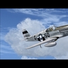 P 51B Mustang 16