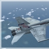 F 18 Hornet 09
