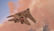 F 14D Tomcat 02