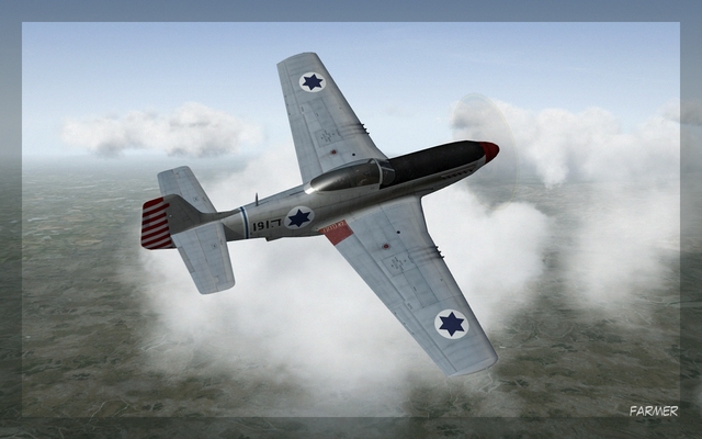 P 51D Mustang 32