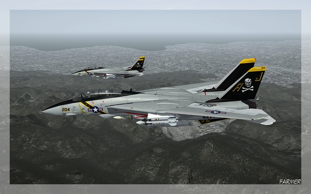 F 14A Tomcat 15