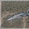 F 14B Tomcat 08