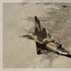 Mirage 5DA 01