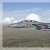 F 14B Tomcat 01
