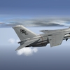 F 14A Tomcat 01