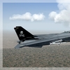 F 14B Tomcat 10