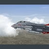 F 14B Tomcat 06