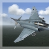F 4F ICE Phantom 02