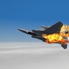 The Flanker Won