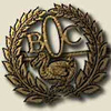 BOC Small Logo