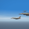 The IAF 2