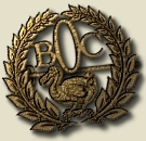 BOC Small Badge