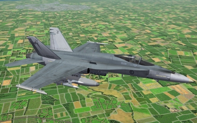 hornet