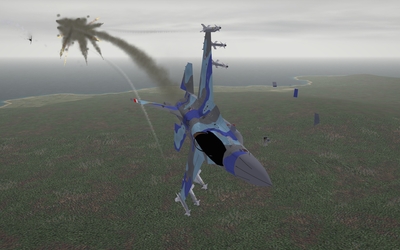 img00005