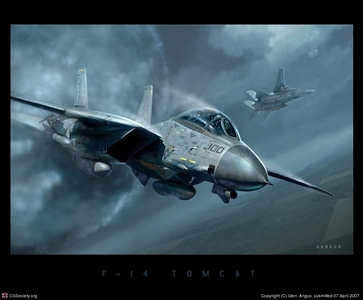 F 14 tomcat