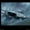 F 14 tomcat
