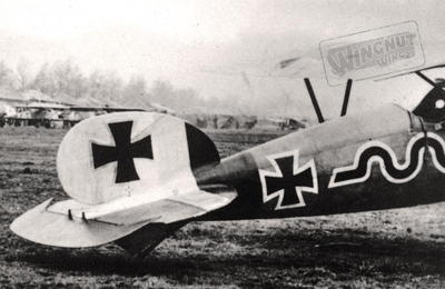Albatros D.V Jasta 23b tailplane