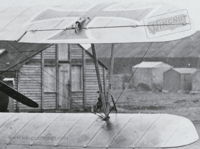 Albatros D.V 2359~17  Detail wings (AL0811 028)